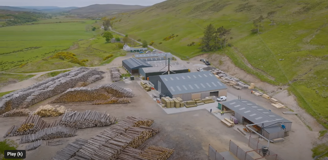 GMG Energy plants 10,000 trees in boost for Scottish sustainability