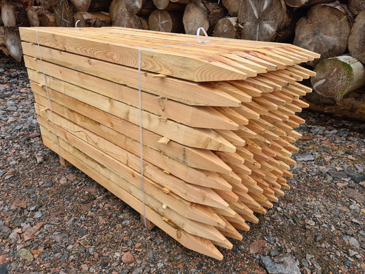 Pointed Larch Posts